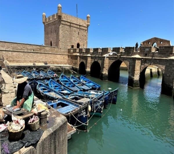 Day Trip ~ Marrakech to Essaouira