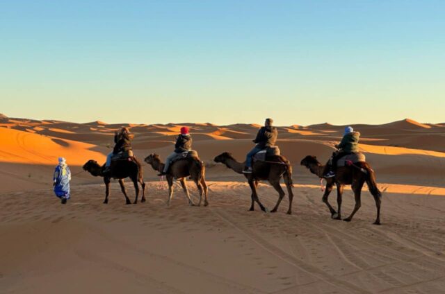 camels-desert-tours
