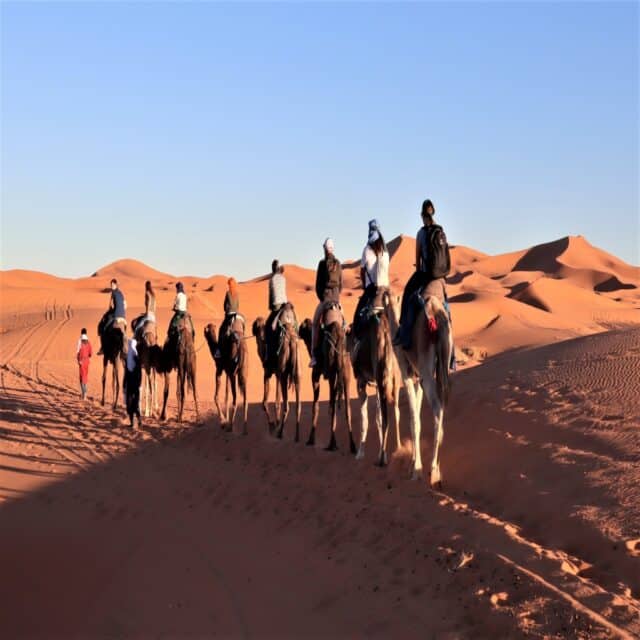 Things do in morocco 