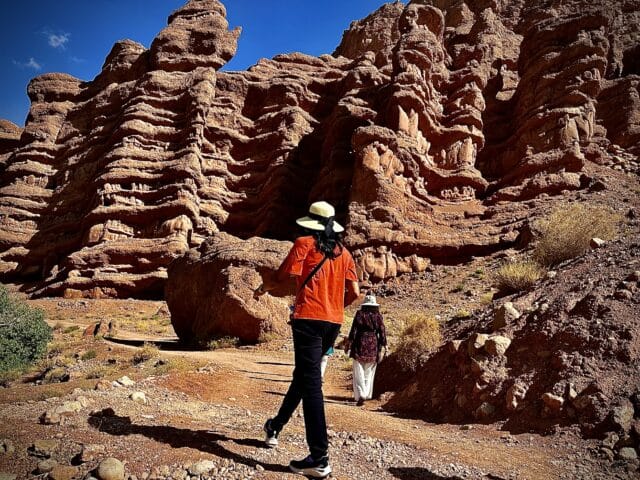 Travel with experts