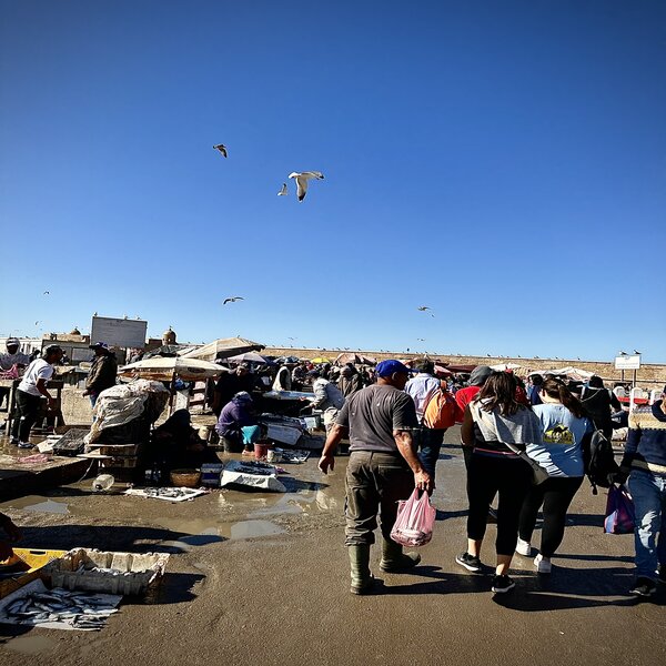 Guided Morocco tours 17 Days from Casablanca